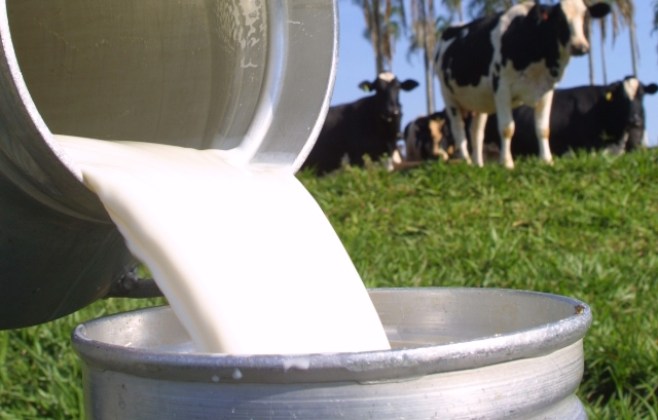 empaer-e-seaf-promovem-dia-de-campo-sobre-producao-de-leite-com-foco-em-praticas-sustentaveis
