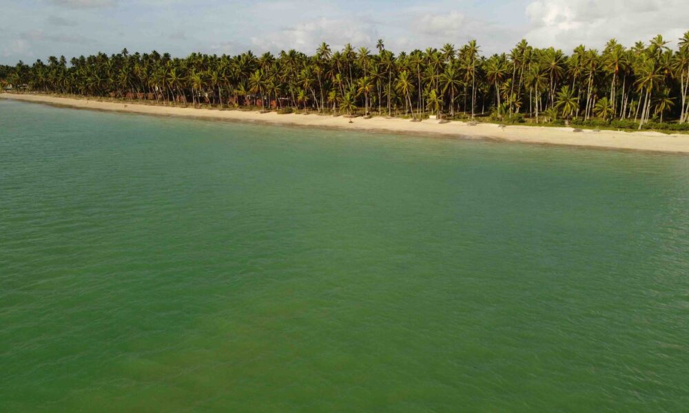 qual-destino-vou-primeiro,-jericoacoara-ou-maragogi?