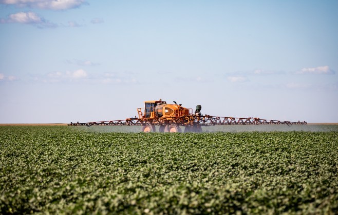 mato-grosso-puxa-alta-na-estimativa-de-producao-agricola-e-consolida-lideranca-nacional