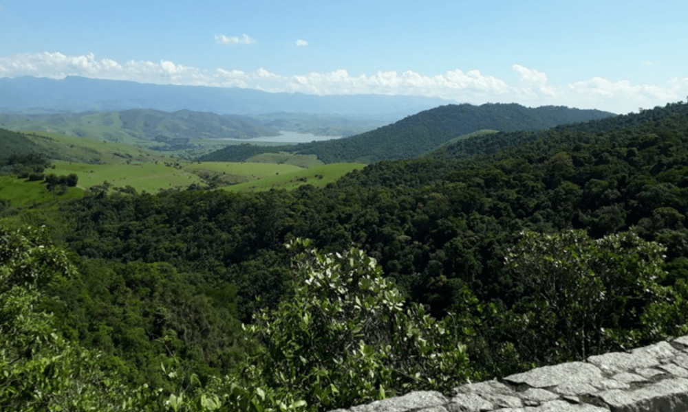 penedo-tudo-sobre-que-voce-precisa-conhecer