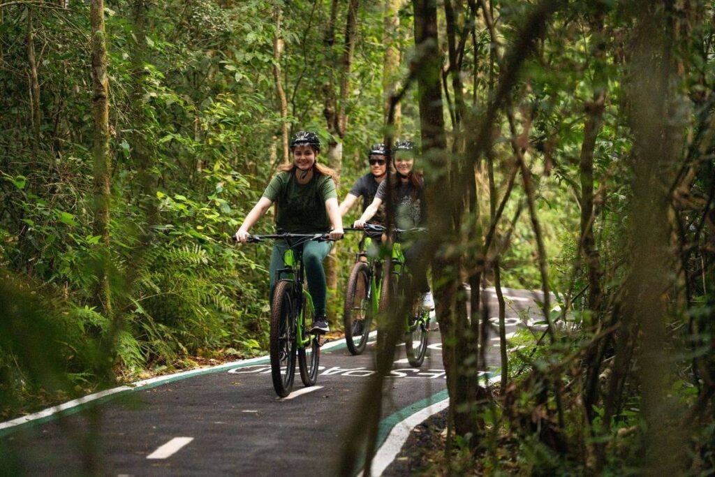 ciclovia-das-cataratas-explora-mata-preservada-no-conforto-do-asfalto