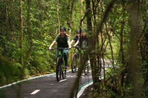 ciclovia-das-cataratas-explora-mata-preservada-no-conforto-do-asfalto