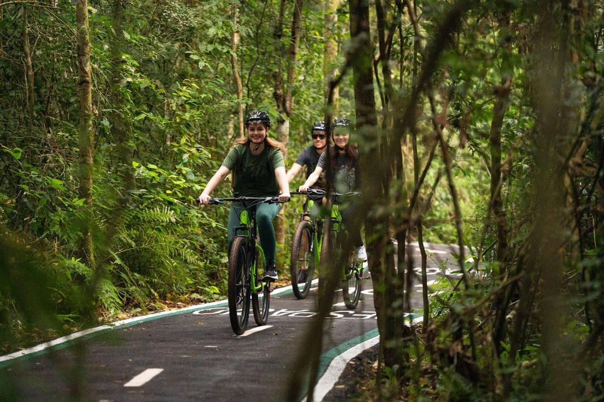 ciclovia-das-cataratas-explora-mata-preservada-no-conforto-do-asfalto