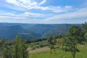 turismo-em-gramado-muda-foco:-menos-disney,-mais-cultura-da-serra-gaucha