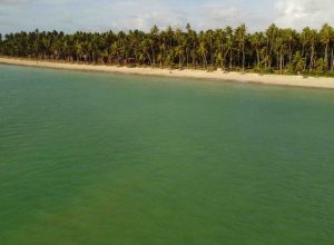 qual-destino-vou-primeiro,-jericoacoara-ou-maragogi?