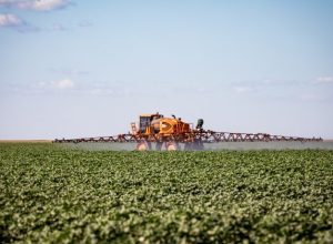 mato-grosso-puxa-alta-na-estimativa-de-producao-agricola-e-consolida-lideranca-nacional