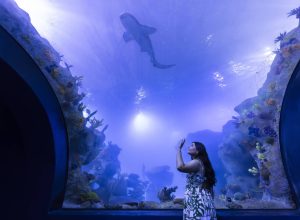 foz-do-iguacu-inaugura-aquario-e-abre-cafeteria-em-antiga-usina-das-cataratas