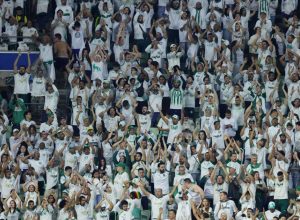 palmeiras-x-vitoria:-horario-e-onde-assistir-ao-jogo-do-brasileirao