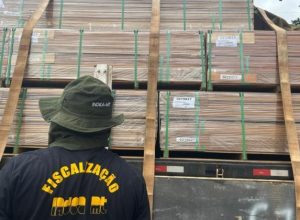 cge-e-indea-fortalecem-parceria-para-modernizar-a-certificacao-da-madeira-em-mato-grosso