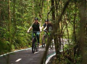ciclovia-das-cataratas-explora-mata-preservada-no-conforto-do-asfalto