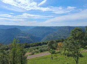 turismo-em-gramado-muda-foco:-menos-disney,-mais-cultura-da-serra-gaucha
