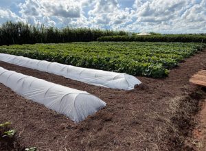 WhatsApp-Image-2026-03-14-at-08.20.17-1024x576